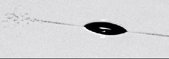 Duft experiment