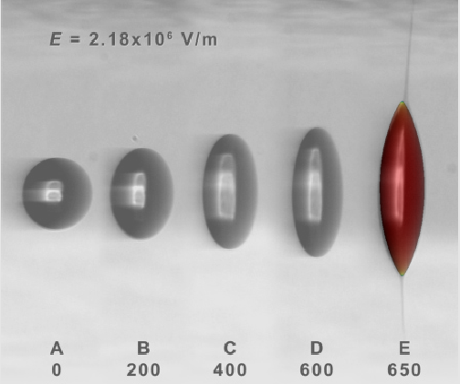 comparison experiments
