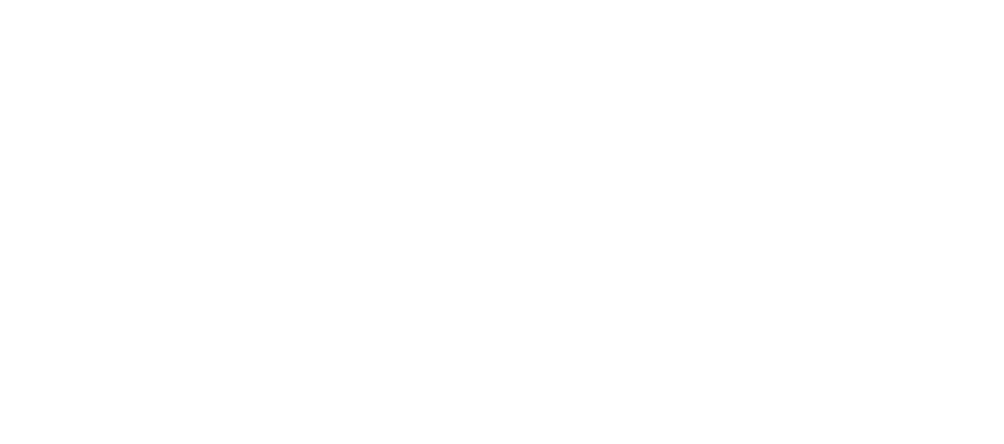 UNT Logo